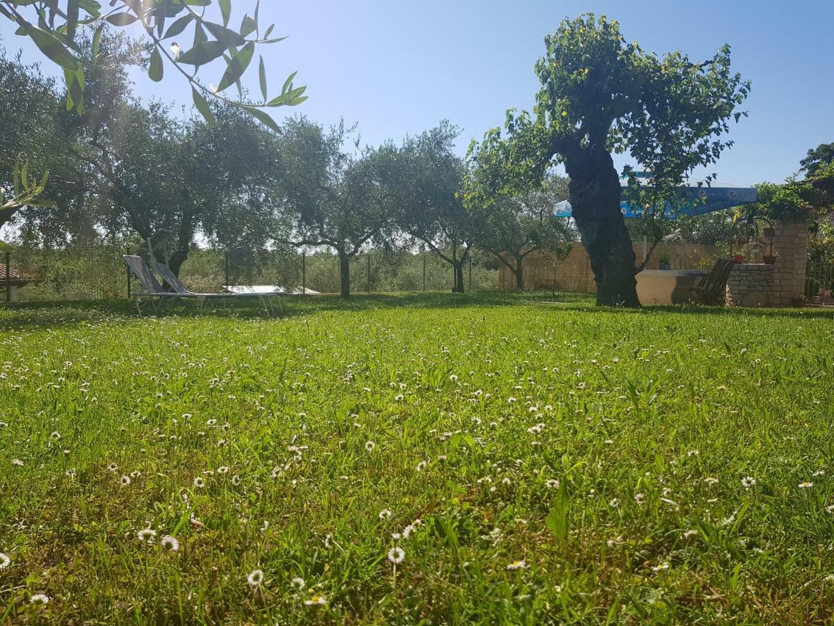Villa Casa Istria Buje Exterior foto